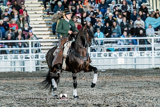 Felix Santana's Andalusian Dancing Horse