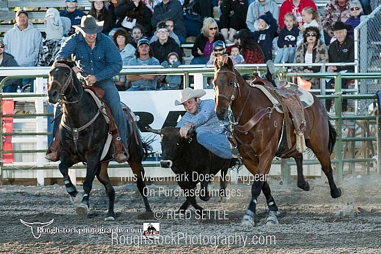 Steer Wrestling