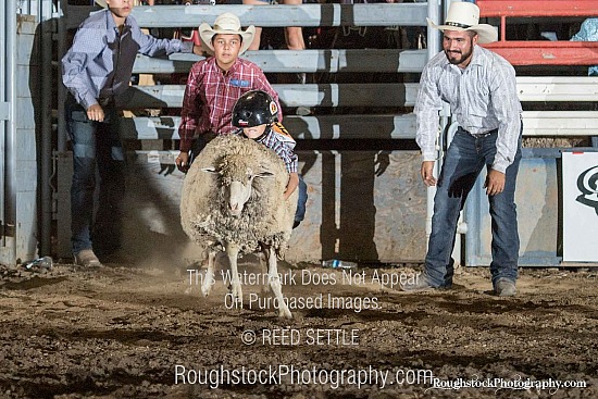 Mutton Bustin