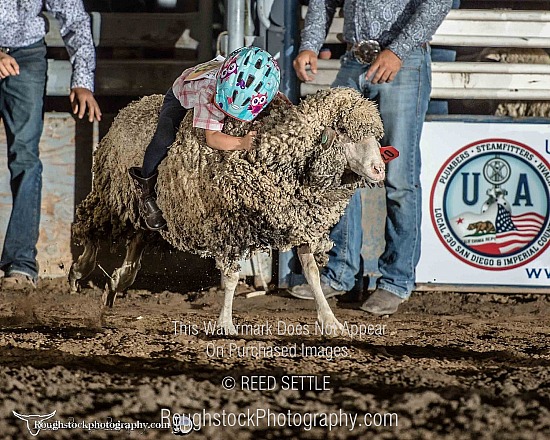 Mutton Bustin