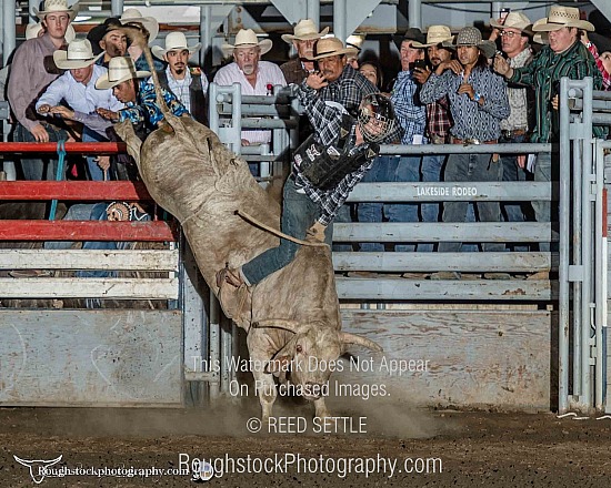 Bulls, Sections 1-4 + Short Go, Buckle Presentations