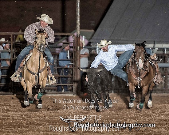 Steer Wrestling