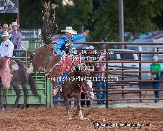 SaddleBronc