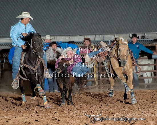 Steer Wrestling