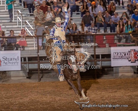 SaddleBronc