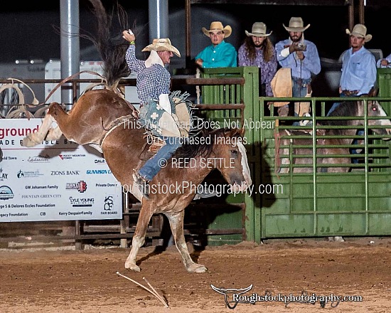BareBack