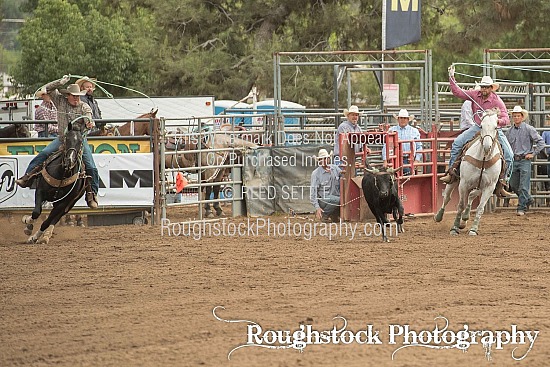 Team Roping