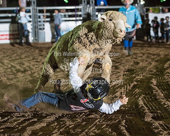 Mutton Bustin