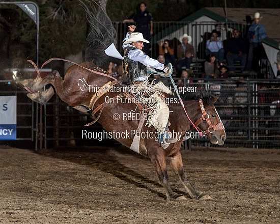 SaddleBronc