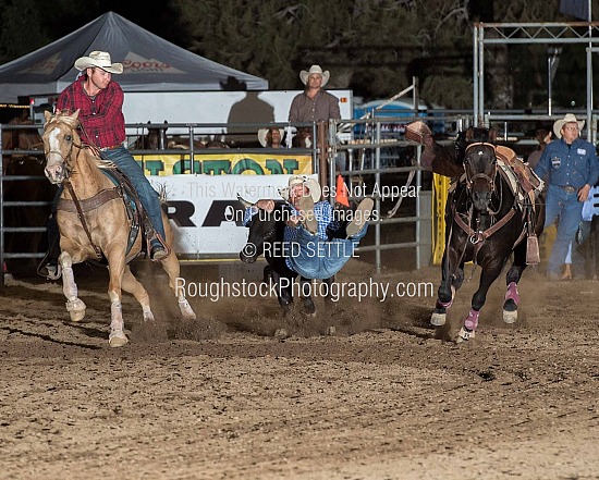 Steer Wrestling