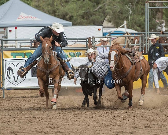 Steer Wrestling