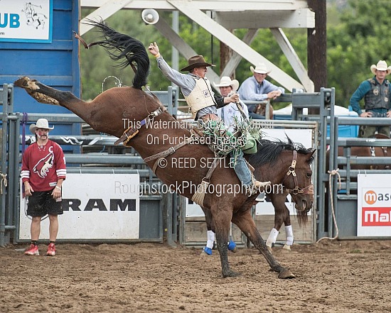 SaddleBronc