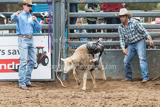 Mutton Bustin