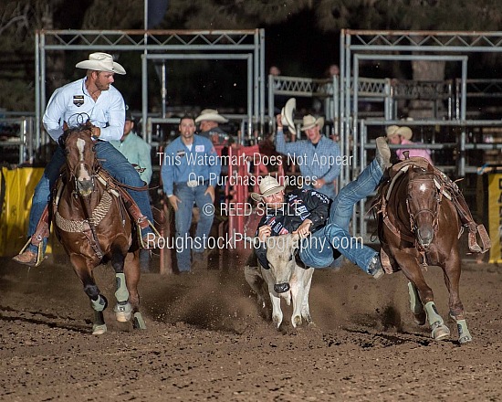 Steer Wrestling