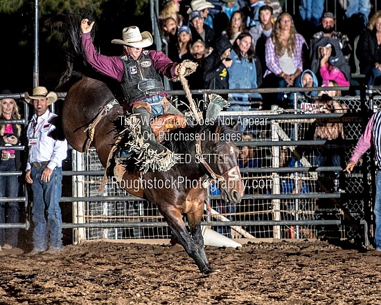 SaddleBronc