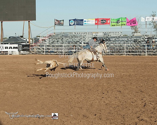 Steer Roping - 1st Go Round