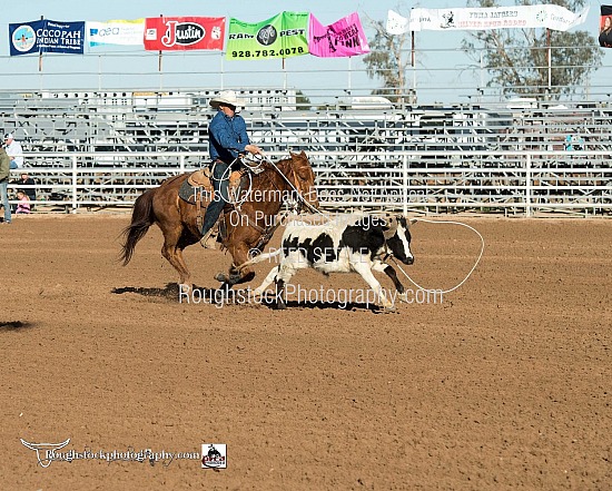 Steer Roping - 2nd Go Round