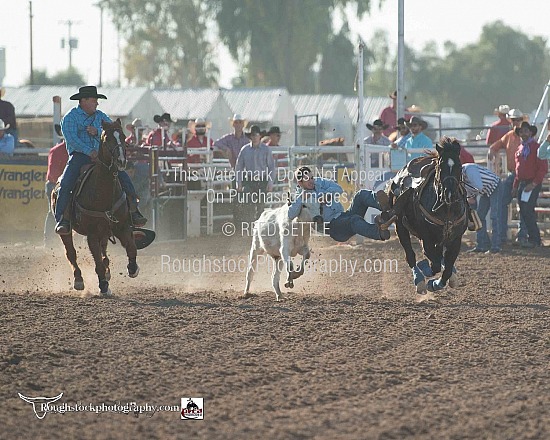 Steer Wrestling