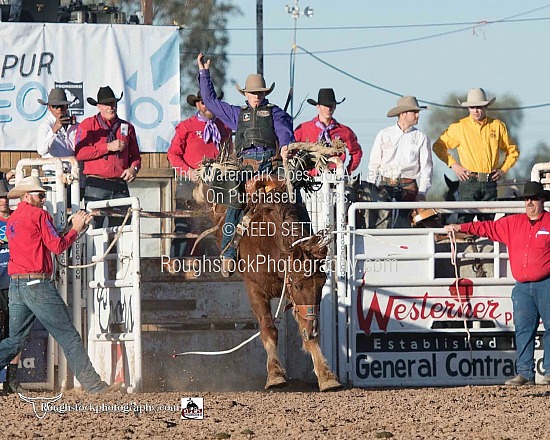 SaddleBronc