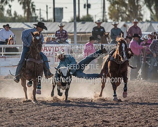 Steer Wrestling