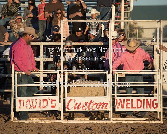 Mutton Bustin