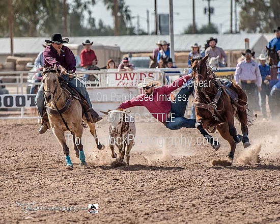 Steer Wrestling