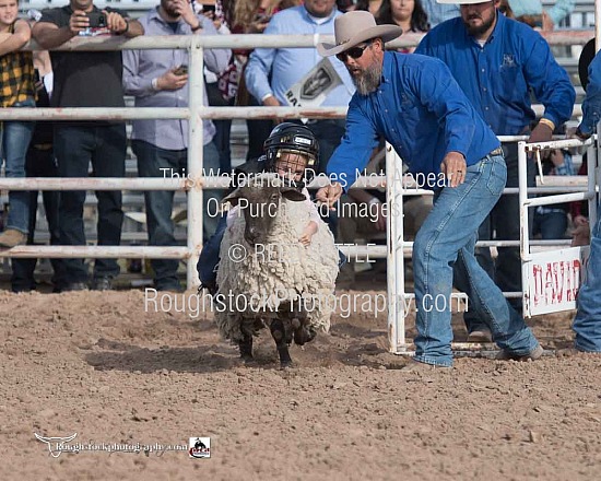 Mutton Bustin