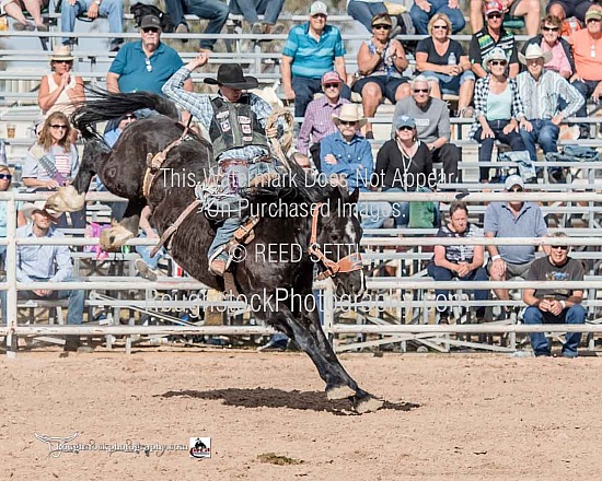 SaddleBronc