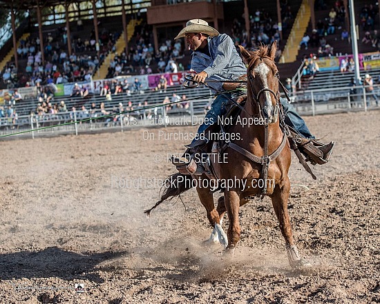 Team Roping