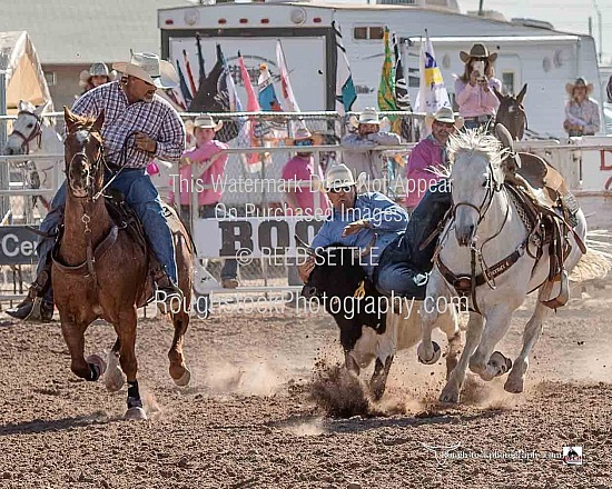 Steer Wrestling