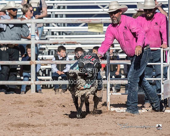 Mutton Bustin