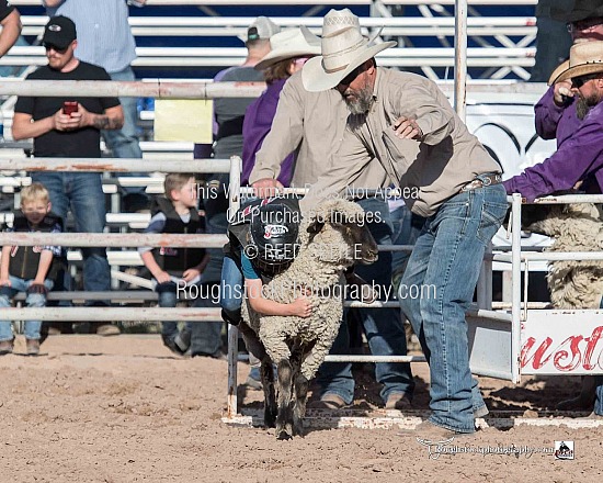 Mutton Bustin