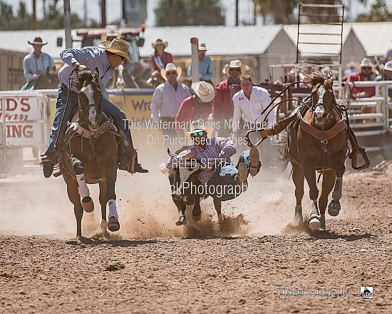 Steer Wrestling