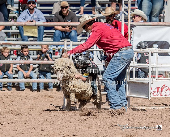 Mutton Bustin