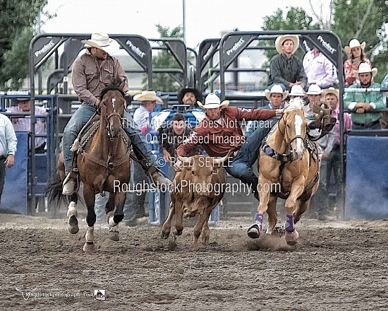 Steer Wrestling