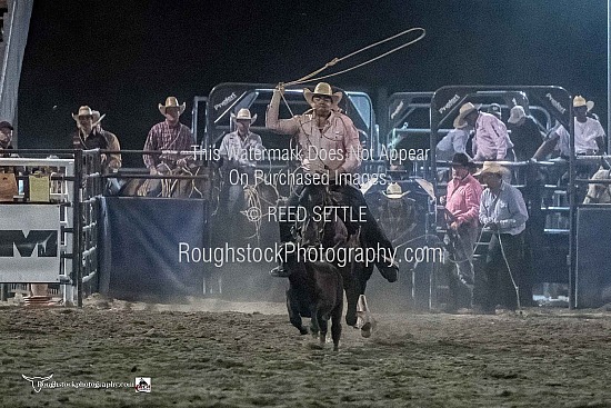 Tie Down Roping