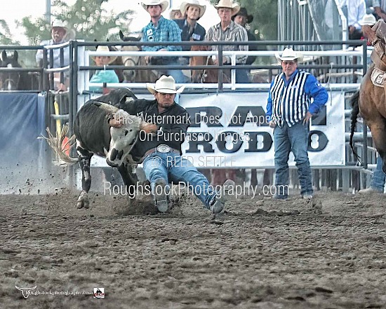 Steer Wrestling