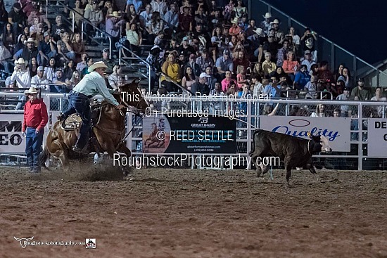 Tie Down Roping