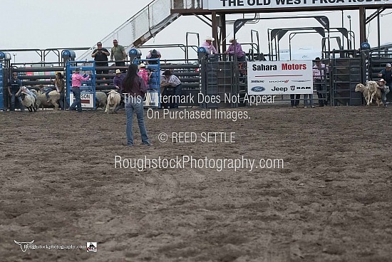 Mutton Bustin