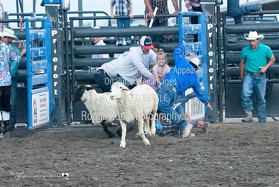 Mutton Bustin