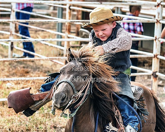 Behind the Chutes