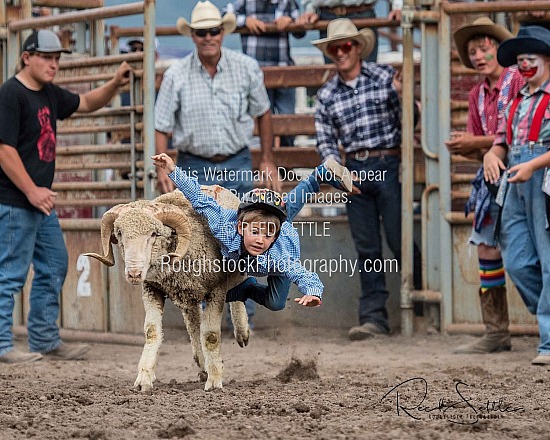 Mutton Bustin