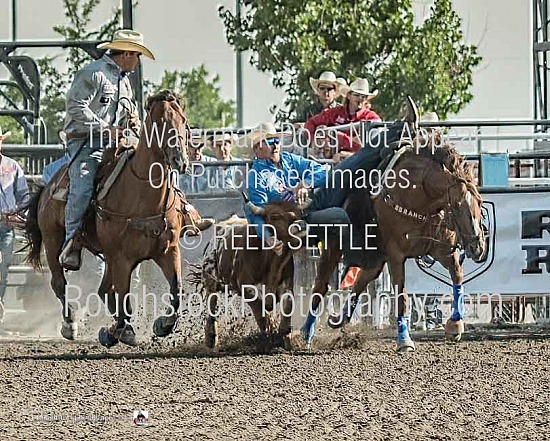 Steer Wrestling (Updated 7/29/21)