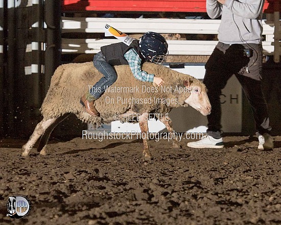 Mutton Bustin