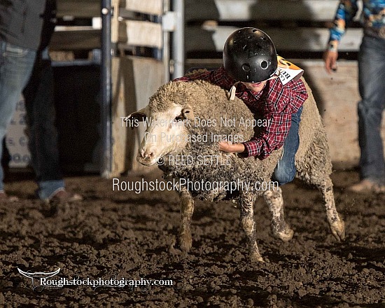 Mutton Bustin