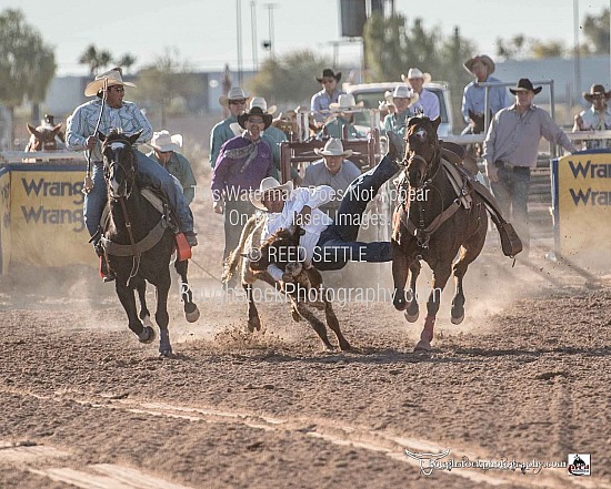 Steer Wrestling