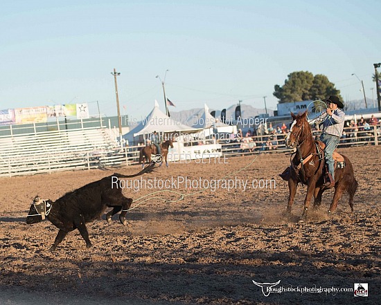 Team Roping