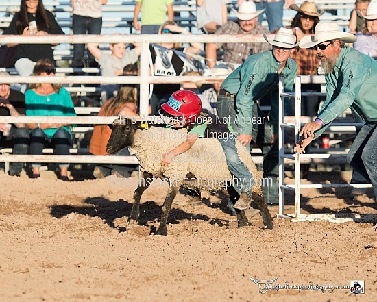 Mutton Bustin