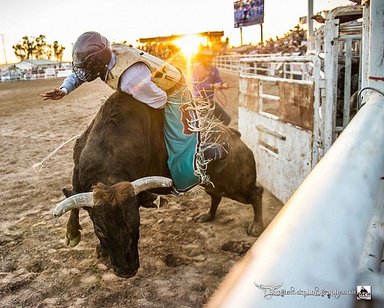 Roughstock