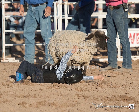 Mutton Bustin